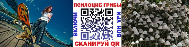 Псилоцибиновые грибы мицелий  Людиново 